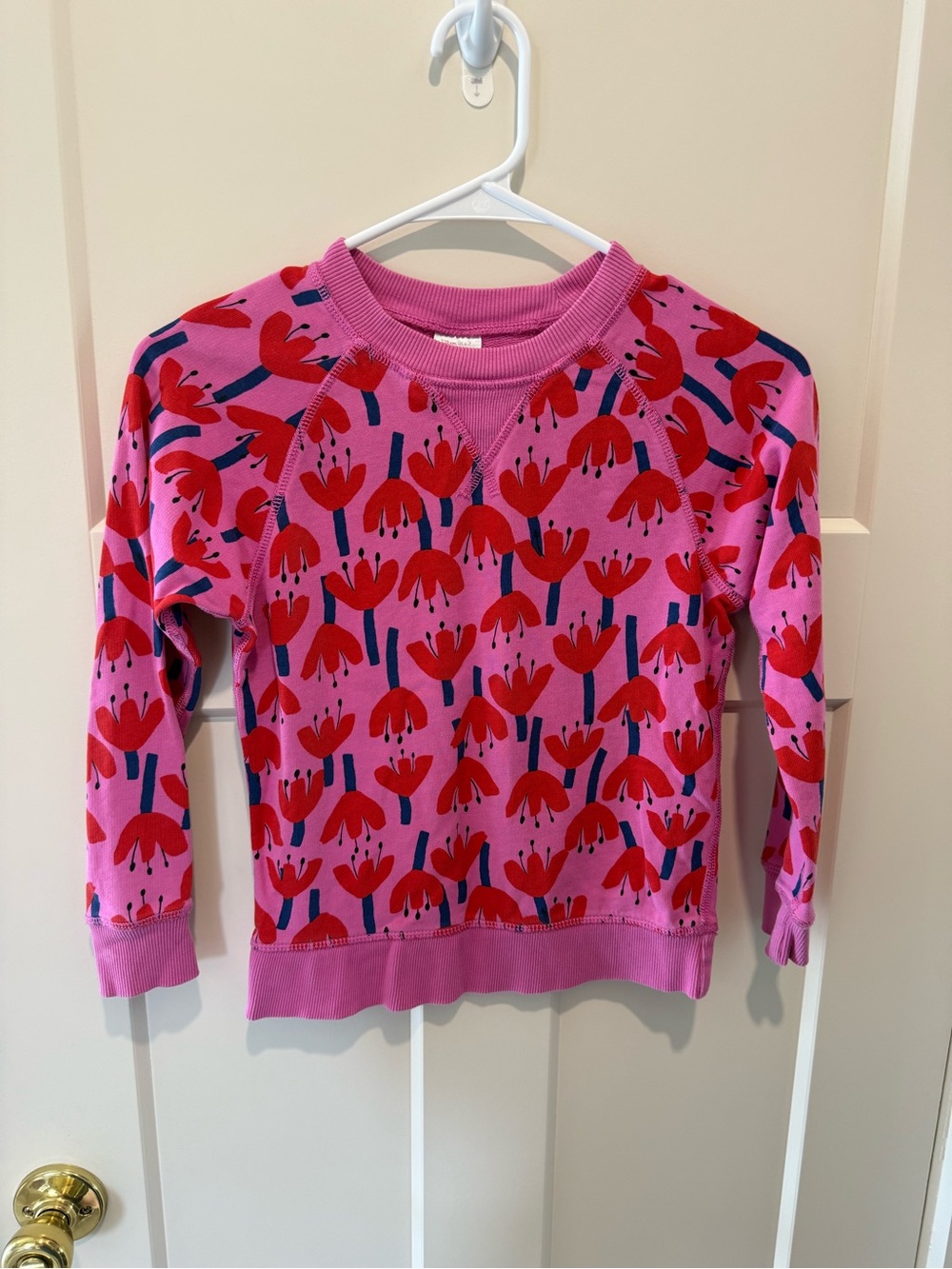 Hanna Andersson Pink sweatshirt with red floral print